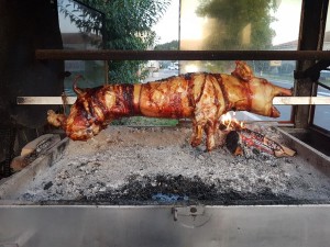 porchetta